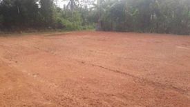 Land for sale in Khuan Lang, Songkhla