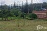 Land for sale in Thung Samo, Phetchabun