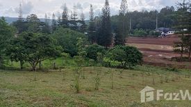 Land for sale in Thung Samo, Phetchabun