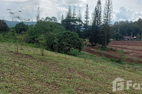 Land for sale in Thung Samo, Phetchabun