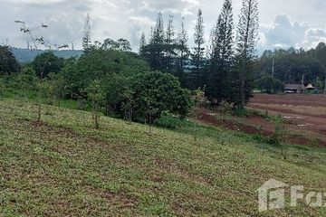 Land for sale in Thung Samo, Phetchabun