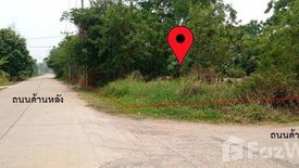 Land for sale in Don Thong, Phitsanulok