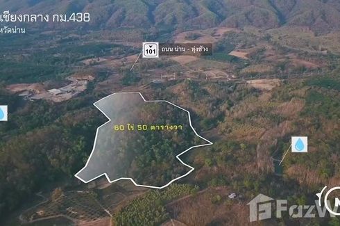 Land for sale in Phaya Kaeo, Nan