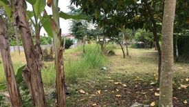 Land for sale in Huai Phai, Ratchaburi