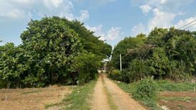 Land for sale in Khlong Muang, Nakhon Ratchasima