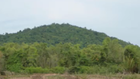 Land for sale in Pak Nam, Chumphon