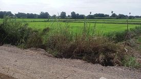 Land for sale in Bang Phra Luang, Nakhon Sawan