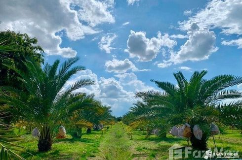 Land for sale in Nong Ya Sai, Suphan Buri