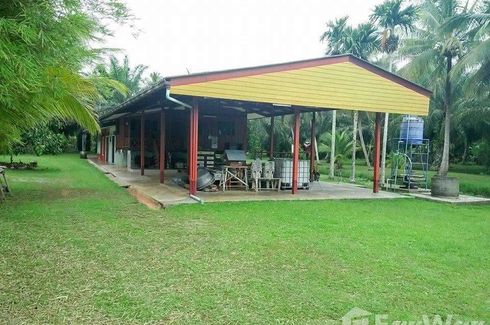 Land for sale in Tha Yang, Chumphon