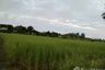 Land for sale in Ko Kha, Lampang