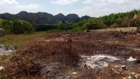 Land for sale in Sai Thai, Krabi