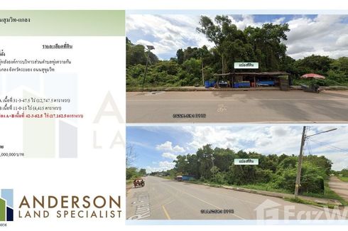 Land for sale in Thung Khwai Kin, Rayong