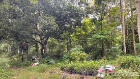 Land for sale in Khao Baisi, Chanthaburi