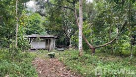 Land for sale in Khao Baisi, Chanthaburi