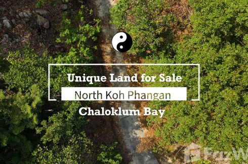 Land for sale in Ko Pha-ngan, Surat Thani