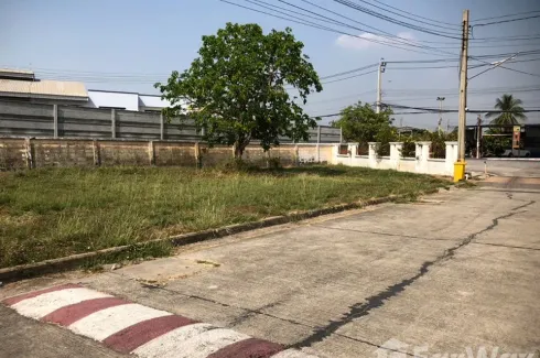 Land for sale in Sinsiri Bangbouthong, Lam Pho, Nonthaburi