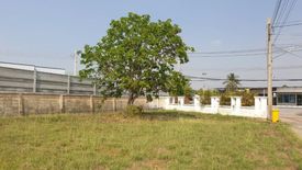 Land for sale in Sinsiri Bangbouthong, Lam Pho, Nonthaburi