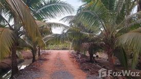 Land for sale in Bua Ngam, Ratchaburi