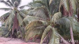 Land for sale in Bua Ngam, Ratchaburi