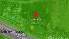 Land for sale in Thung Khok, Suphan Buri