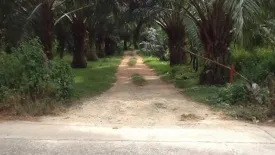 Land for sale in Bang Muang, Phang Nga