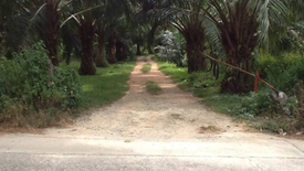 Land for sale in Bang Muang, Phang Nga