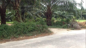 Land for sale in Bang Muang, Phang Nga