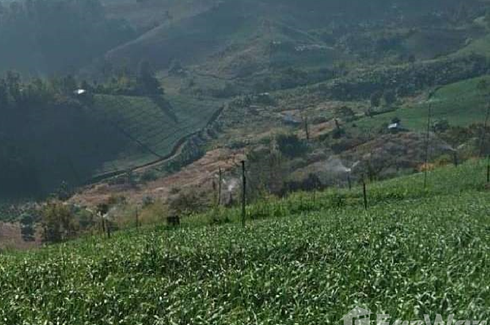 Land for sale in Mae Na Toeng, Mae Hong Son