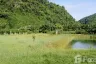 Land for sale in Sao Phao, Nakhon Si Thammarat