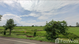 Land for sale in Ta Pek, Buriram