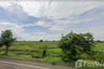 Land for sale in Ta Pek, Buriram