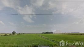 Land for sale in Bang Luk Suea, Nakhon Nayok