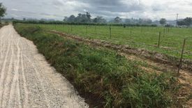 Land for sale in Tha Muang, Kanchanaburi