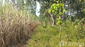 Land for sale in Bua Khao, Kalasin