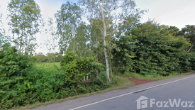 Land for sale in Ngio Don, Sakon Nakhon