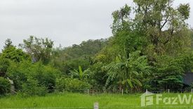 Land for sale in Pak Khao San, Saraburi