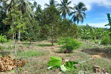 Land for sale in Lan Khoi, Phatthalung