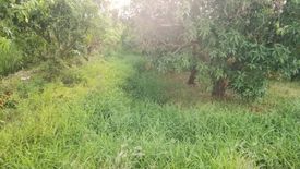 Land for sale in Wang Kai Thuean, Chainat