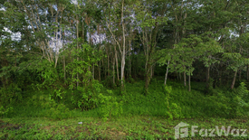 Land for sale in Hat Phan Krai, Chumphon