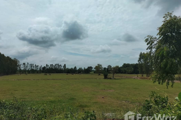 Land for sale in Nong Saeng, Chainat