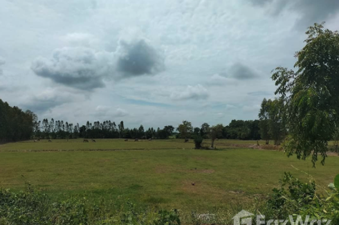 Land for sale in Nong Saeng, Chainat