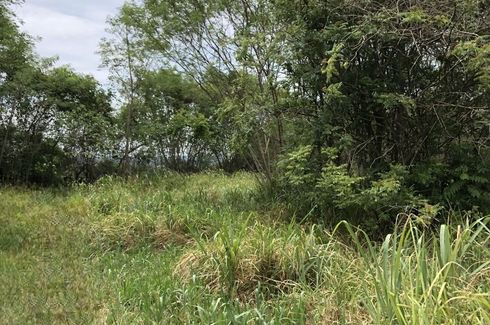 Land for sale in Nong Nam Daeng, Nakhon Ratchasima