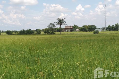 Land for sale in Don Ko Ka, Chachoengsao