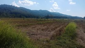 Land for sale in Huai Sak, Chiang Rai