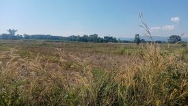 Land for sale in Huai Sak, Chiang Rai