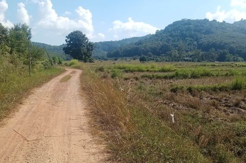 Land for sale in Huai Sak, Chiang Rai