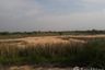 Land for sale in Sa Chorakhe, Nakhon Ratchasima