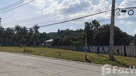 Land for sale in Ko Pha-ngan, Surat Thani