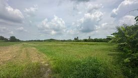 Land for sale in Wat Kaeo, Ratchaburi