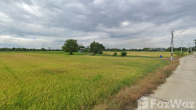 Land for sale in Don Ya Nang, Phra Nakhon Si Ayutthaya